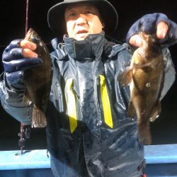 ヤザワ渡船 釣果