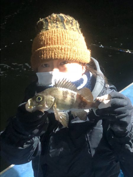 ヤザワ渡船 釣果