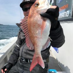 ランスルー 釣果