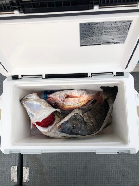 遊漁船高橋 釣果