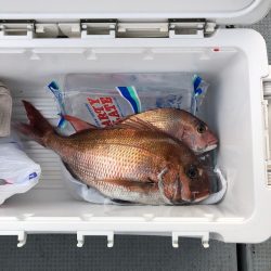 遊漁船高橋 釣果