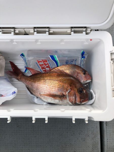 遊漁船高橋 釣果