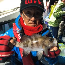 ヤザワ渡船 釣果