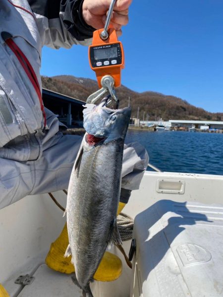 海友丸 釣果