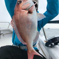 ランスルー 釣果