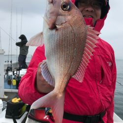 ランスルー 釣果