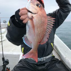 ランスルー 釣果