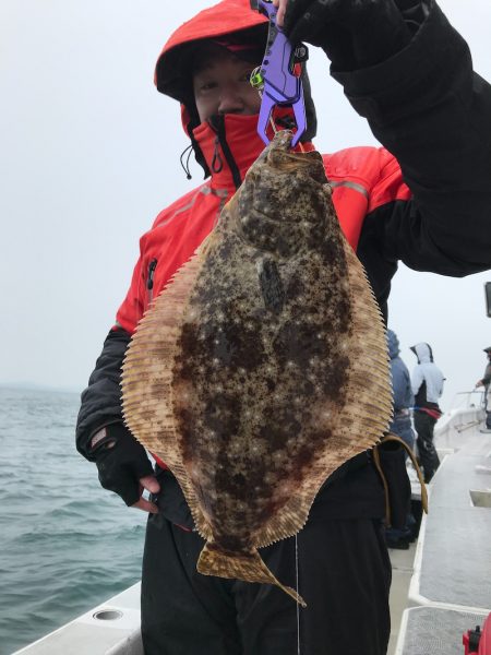 ランスルー 釣果