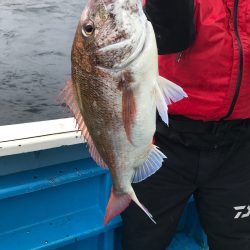 太平丸 釣果