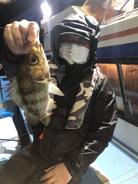 ヤザワ渡船 釣果