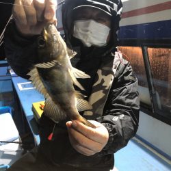 ヤザワ渡船 釣果