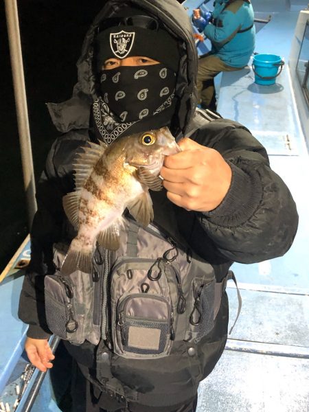 ヤザワ渡船 釣果