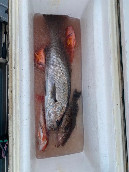 Monster Rush! 釣果