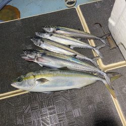 Monster Rush! 釣果