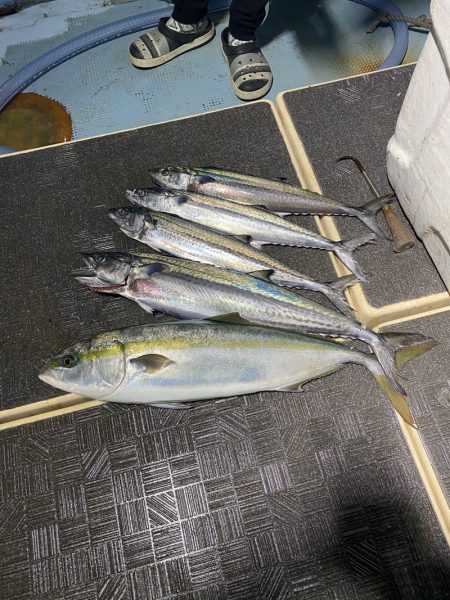 Monster Rush! 釣果