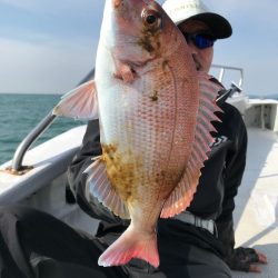 ランスルー 釣果