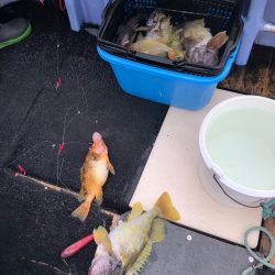 第二 つれたか丸 釣果
