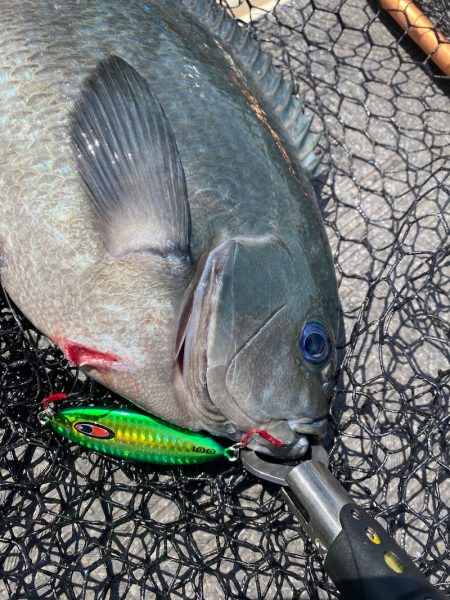 Monster Rush! 釣果