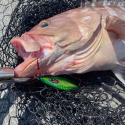 Monster Rush! 釣果