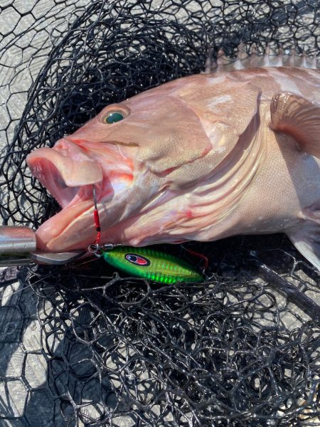 Monster Rush! 釣果