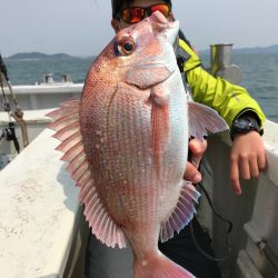 ランスルー 釣果