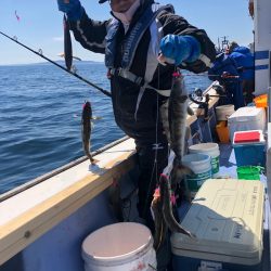 第二 つれたか丸 釣果