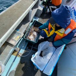 シーランチ 釣果