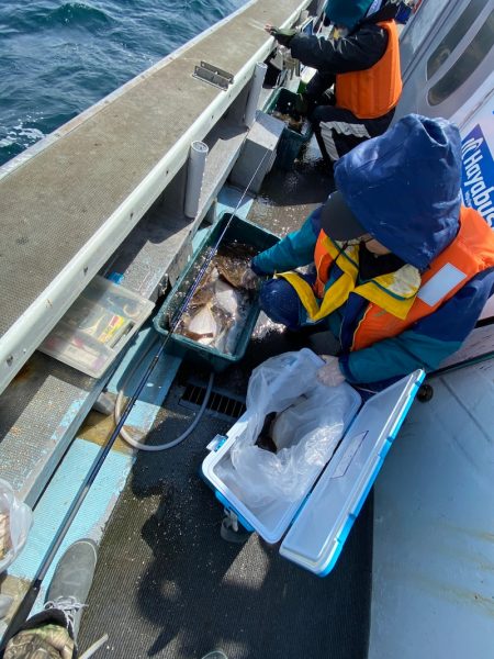 シーランチ 釣果