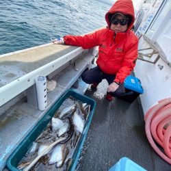 シーランチ 釣果