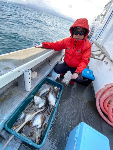 シーランチ 釣果