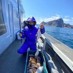 シーランチ 釣果