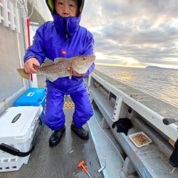 シーランチ 釣果