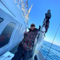 シーランチ 釣果