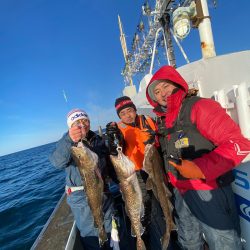 シーランチ 釣果