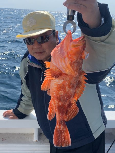 釣鯛洋 釣果