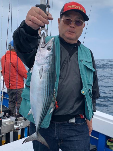 釣鯛洋 釣果