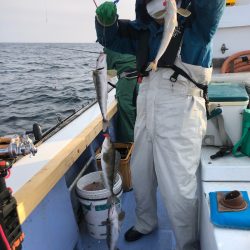 第二 つれたか丸 釣果