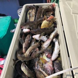 第二 つれたか丸 釣果