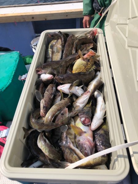 第二 つれたか丸 釣果