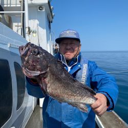 シーランチ 釣果