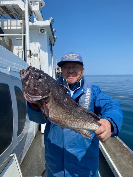 シーランチ 釣果