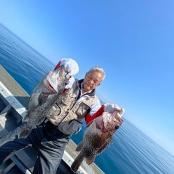 シーランチ 釣果