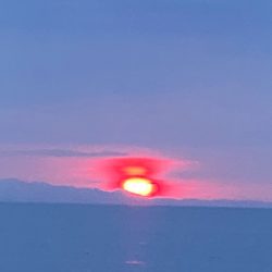 シーランチ 釣果