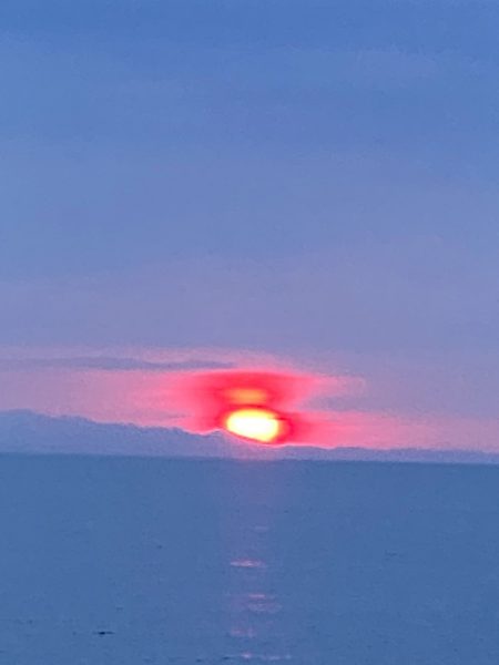 シーランチ 釣果