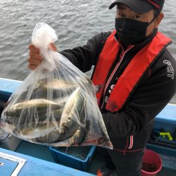 ヤザワ渡船 釣果