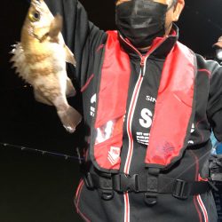 ヤザワ渡船 釣果