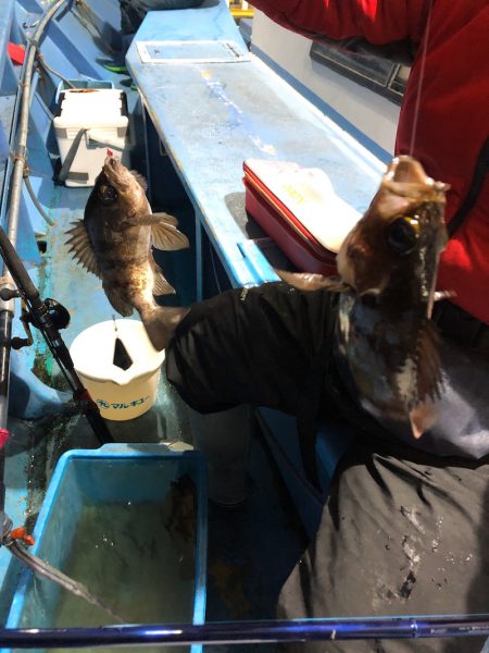 ヤザワ渡船 釣果