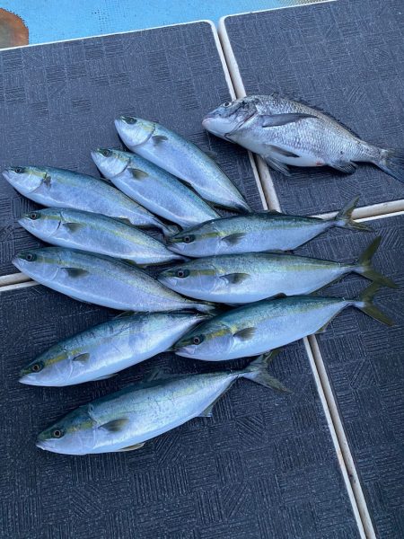 Monster Rush! 釣果