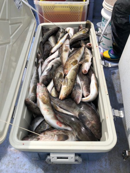 第二　つれたか丸 釣果