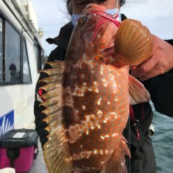 ランスルー 釣果